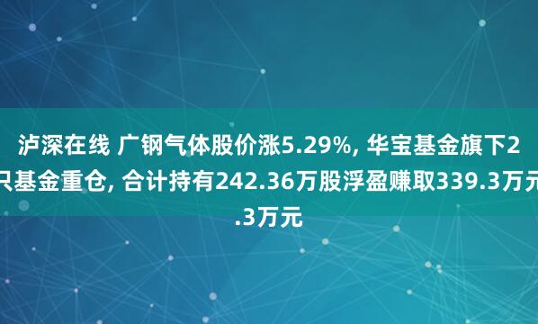 泸深在线 广钢气体股价涨5.29%, 华宝基金旗下2只基金重仓, 合计持有242.36万股浮盈赚取339.3万元