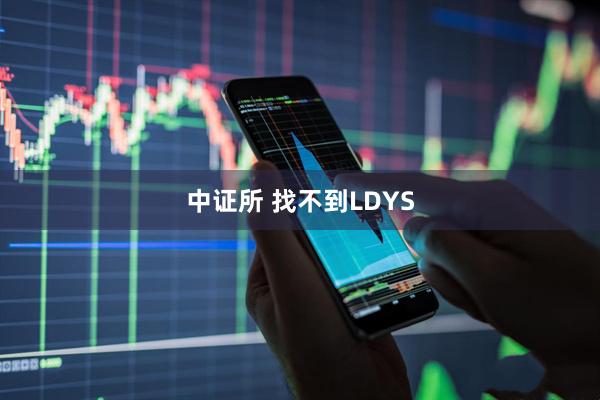 中证所 找不到LDYS