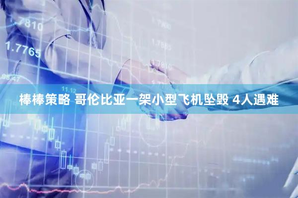 棒棒策略 哥伦比亚一架小型飞机坠毁 4人遇难