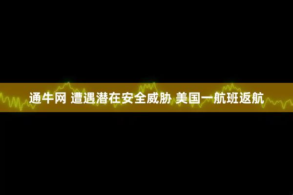 通牛网 遭遇潜在安全威胁 美国一航班返航
