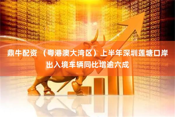 鼎牛配资 （粤港澳大湾区）上半年深圳莲塘口岸出入境车辆同比增逾六成