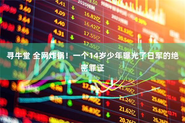 寻牛堂 全网炸锅！一个14岁少年曝光了日军的绝密罪证