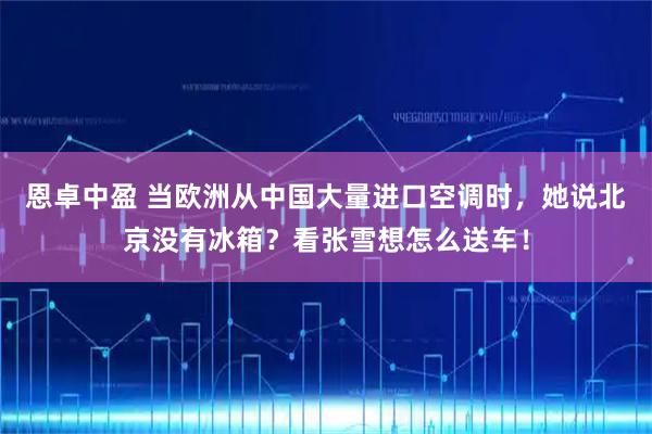 恩卓中盈 当欧洲从中国大量进口空调时，她说北京没有冰箱？看张雪想怎么送车！